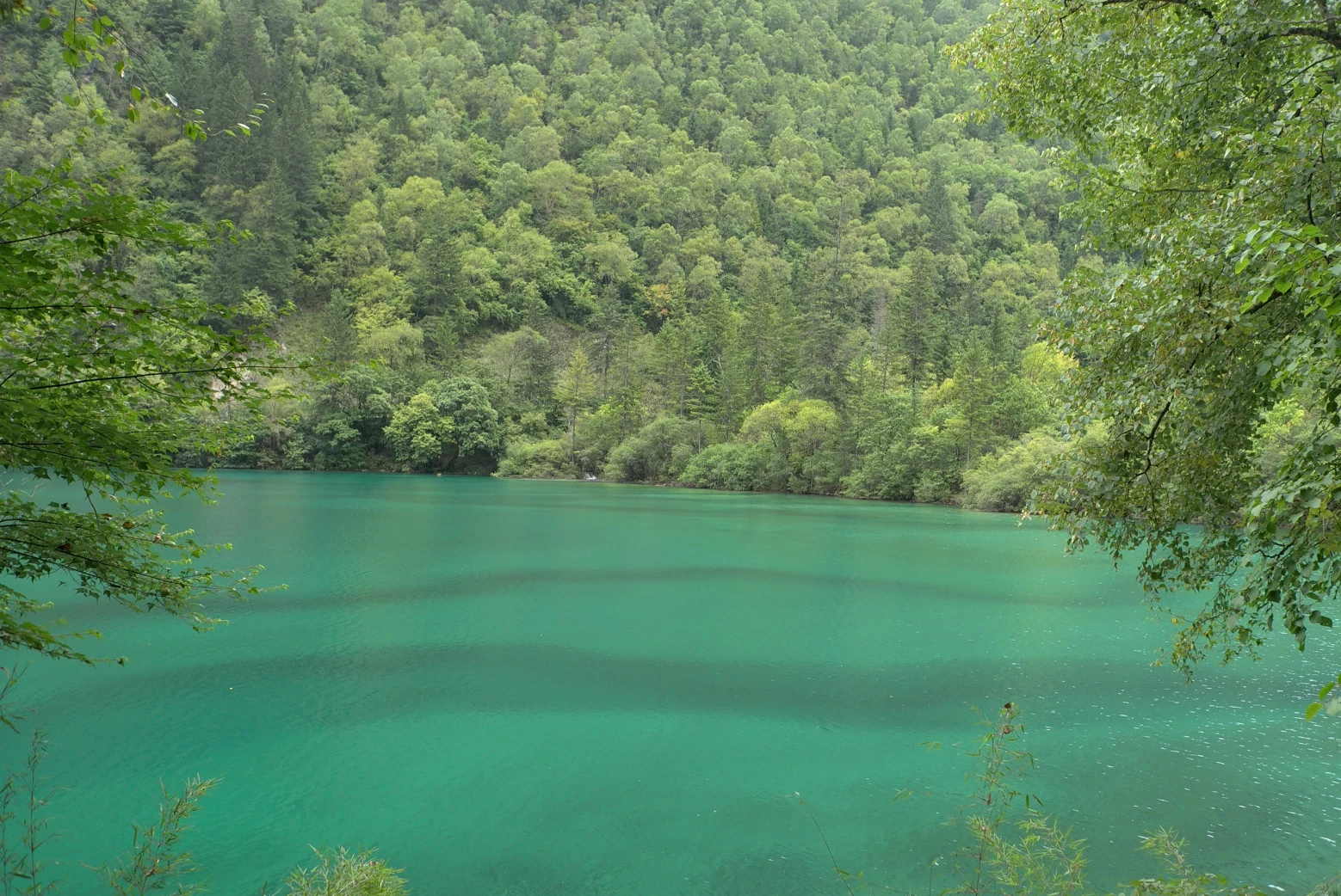 Featured image of post 一半是青山，一半是碧水